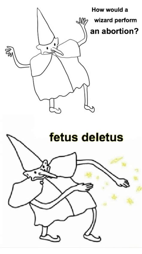 The best memes from instagram, facebook, vine, and twitter about fetus. How Would a Wizard Perform an Abortion? Fetus Deletus | Abortion Meme on ME.ME