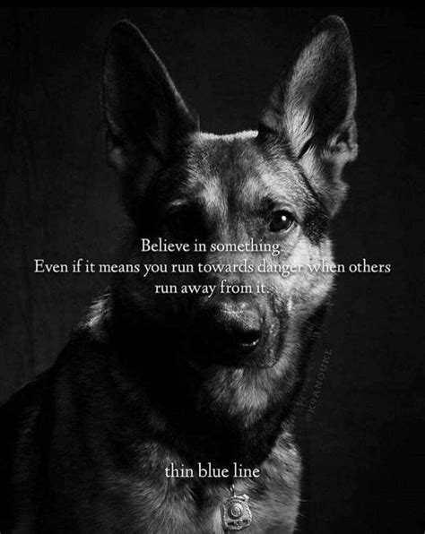 Pin By Sonni Ann Gavin On German Shepherdworking Part 9 Dog Quotes