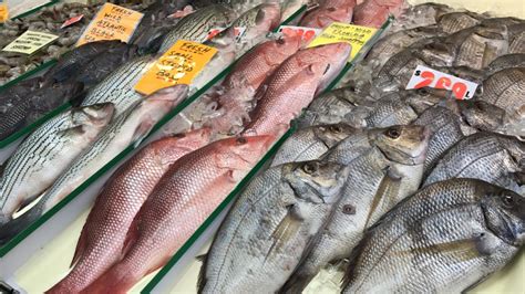 Fishmonger definition, a dealer in fish, especially for eating. Best Fishmonger in NY!