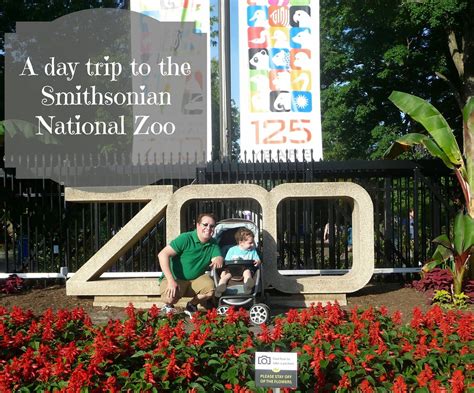 Trip To The Smithsonian National Zoo Unplanned Smithsonian Day Trip