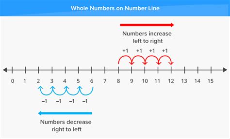 What Is Number Line Definition Facts And Example