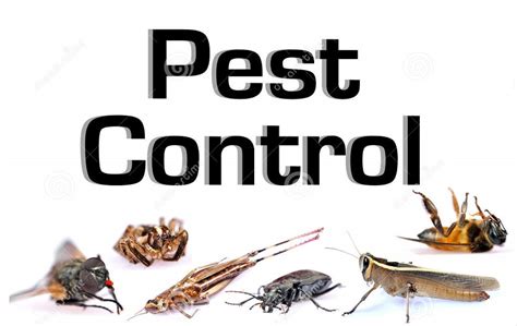 Don't see your favorite business? Blog - Expert Pest Solutions - Pest Control - Springfield, MO