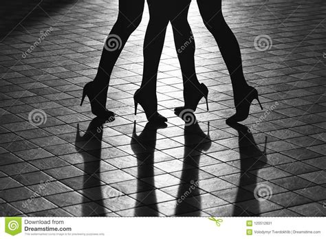 Female Feet Female Legs In Stylish Shoes Stock Image Image Of Style