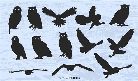 Vector Owl Silhouette Vector Download
