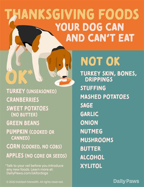 What Thanksgiving Foods Can Dogs Eat And Which Ones Should Be Avoided