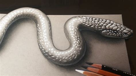 This Is An Easy And Realistic Snake Drawing With 3d Effect Drawn With