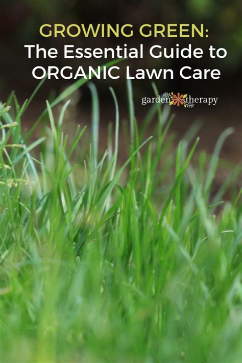 Growing Green The Essential Guide To Organic Lawn Care Organic