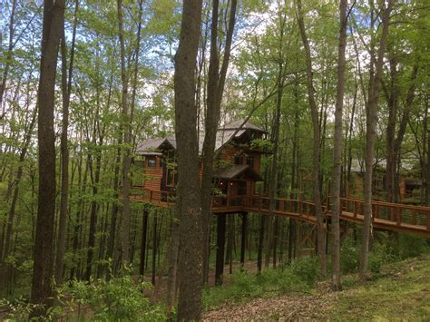 Maybe you would like to learn more about one of these? Treehouse in berlin ohio | Tree house, Berlin ohio, Tree
