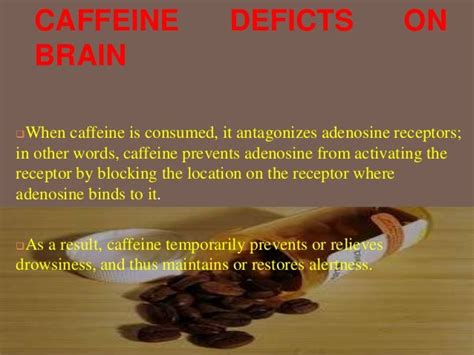 Caffeine And Its Effect On Brain