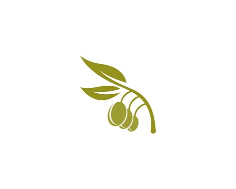Olive Logo Template Vector Icon 620816 Vector Art At Vecteezy