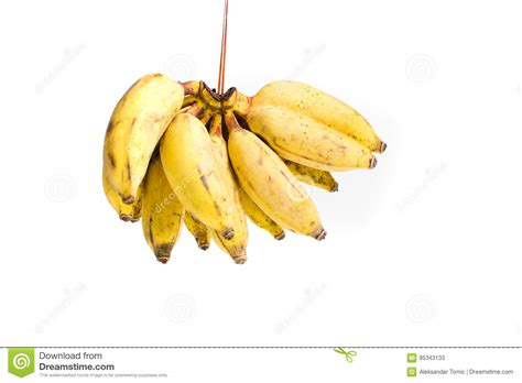 Small Tropical Banana Cluster Isolated On White Stock Image Image Of