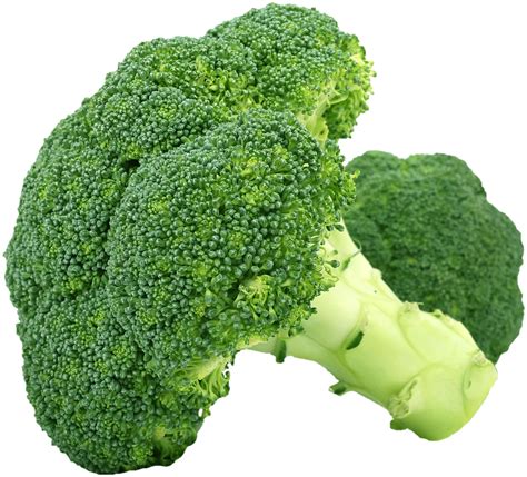 Broccoli Vegetable Food Green Free Photo On Pixabay Pixabay