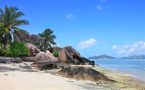 Landscape Nature Tropical Beach White Sand Sea Palm Trees Island Summer Bungalow Seychelles