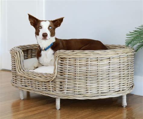 Cane Rattan Dog Bed Large With Cushion