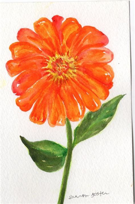 Zinnia Watercolor Painting Original Small Flower Art 4 X 6 Floral