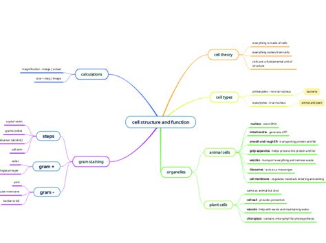 Cell Structure And Function Mind Map