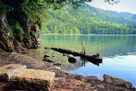 Premium Photo Idyllic Summer Landscape With Mountain Lake In The Alps