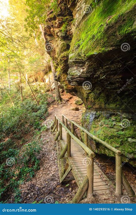 Hiking Trail In Red River Gorge Stock Photo Image Of Cliff Trail