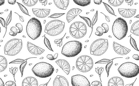 Doodle Art Wallpaper Black And White 735x466 Download Hd Wallpaper
