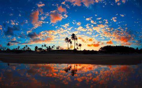 Find best sunrise wallpaper and ideas by device, resolution, and quality (hd, 4k) from a curated website list. nature, Landscape, Sunrise, Beach, Sea, Palm Trees, Clouds ...