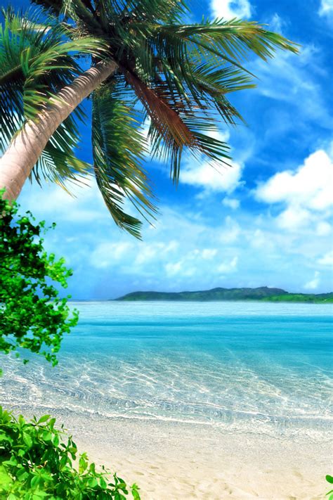 Paradise Iphone Wallpaper Tropical Beach 2187657 Hd