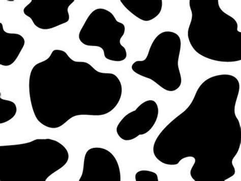 cow print clipart 20 free Cliparts | Download images on Clipground 2022