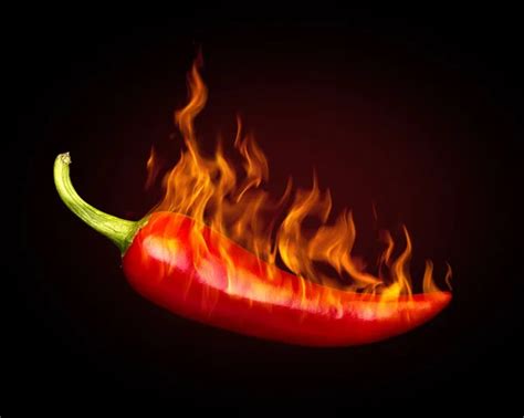 Red Hot Chili Pepper On Black Background With Flame Stock Image