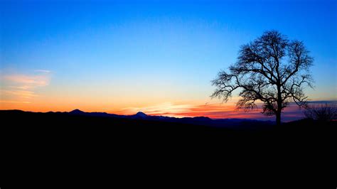 Tree Branches Bushes Mountains Blue Sky During Sunset Silhouette