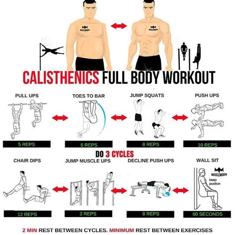 Calisthenics Full Body Workout Guides Fitnesschallengefullbody