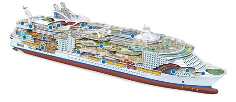 Skip allure of the seas if. Ship categories and cabins Allure of the Seas, Royal ...