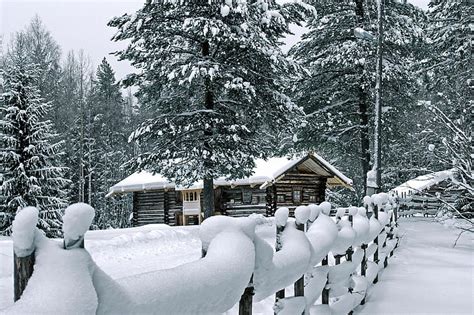 Hd Wallpaper Fence Snow Snowdrifts Attire Pines House Log Hut