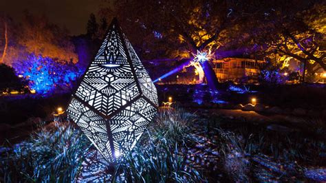 Enchanted Forest Of Light Southern California Fomo
