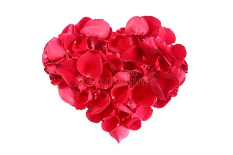 Heart Shape Made Out Of Rose Petals Isolated On White Stock Image