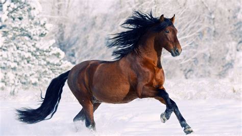 Always tell your doctor about any new symptoms or symptoms that have returned. What does dreaming of sex mean Porn Gentai ...