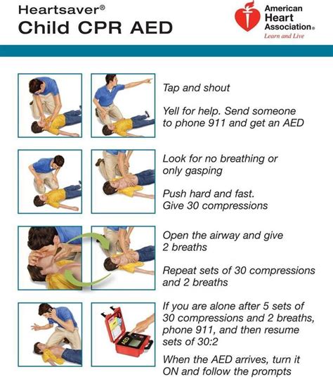 Cpr Worksheet Answers