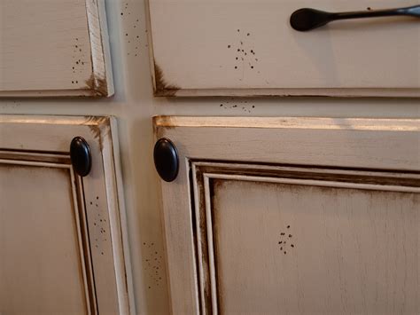 To glaze kitchen cabinets, start by letting fresh paint dry completely, then seal the paint with a coat of lacquer. How to Paint and Antique Cabinets