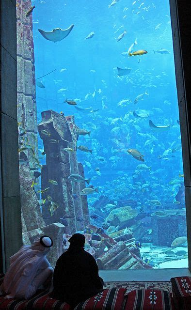 The Lost Chambers Aquarium Atlantis The Palm Hotel Dubai