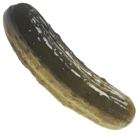 Gherkin Wiki Facts For This Cookery Ingredient
