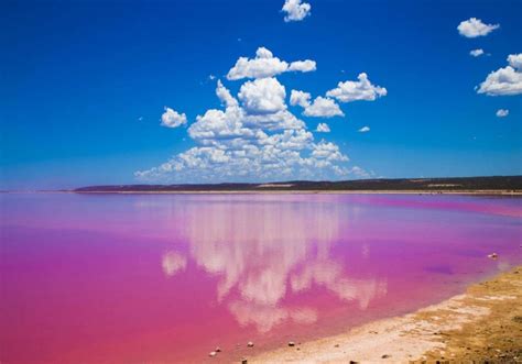 Australias Mysteriously Pink Lake Lake Hillier Blog