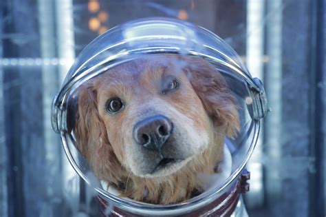 Cosmo The Spacedog From Disneylands Guardians Of The Galaxy Popsugar
