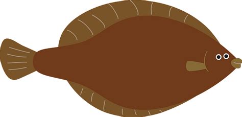 Right Eye Flounder Flat Fish Clipart Free Download Transparent Png