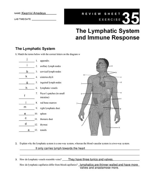 Lymphatic System Labeling Worksheet