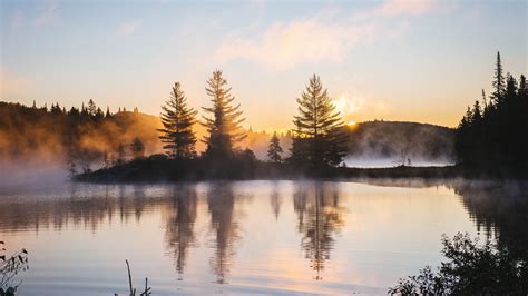 2560x1440 Lake Reflection Morning Mist Trees Nature Hd 4k