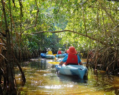 The 15 Best Things To Do In Everglades City Updated 2023 Must See