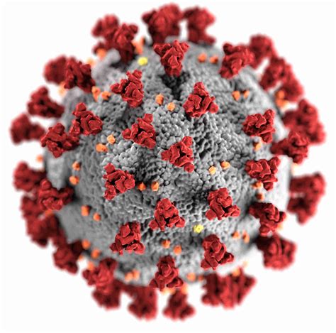 Coronavirus: why an open future has never been more important - Open Knowledge Foundation blog