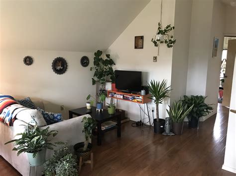We got the room secrets of terces, it is a new room for this place. My "planty" living room in Seattle, WA : AmateurRoomPorn