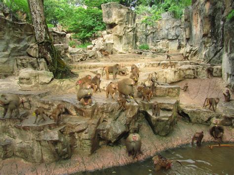 10 Most Stunning Zoos In The World Youtube