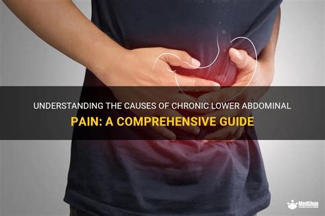 Understanding The Causes Of Chronic Lower Abdominal Pain A Comprehensive Guide MedShun