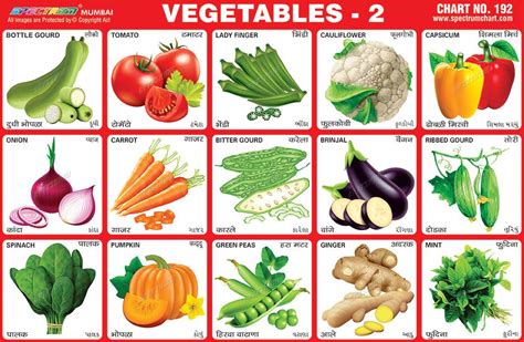 Chart Vegetables Nuria Store