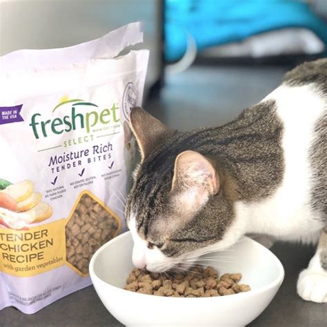 Freshpet Vital Cat Food